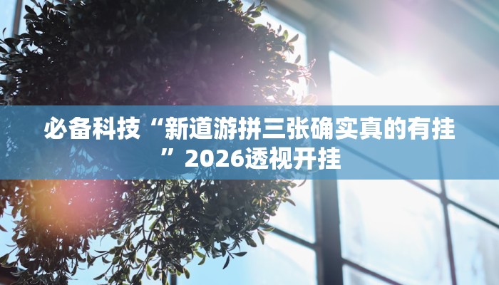 必备科技“新道游拼三张确实真的有挂”2026透视开挂 必备科技“新道游拼三张确实真的有挂”2026透视开挂