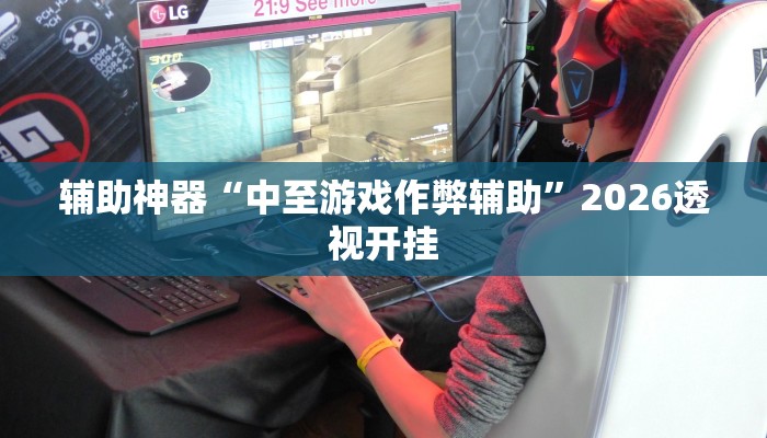 辅助神器“中至游戏作弊辅助”2026透视开挂