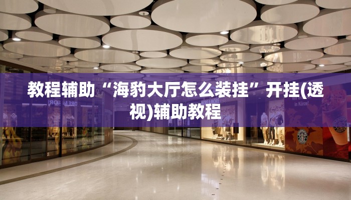 教程辅助“海豹大厅怎么装挂”开挂(透视)辅助教程