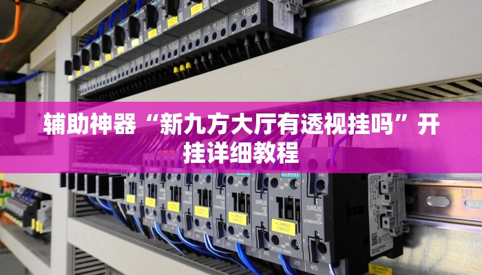 辅助神器“新九方大厅有透视挂吗”开挂详细教程 辅助神器“新九方大厅有透视挂吗”开挂详细教程