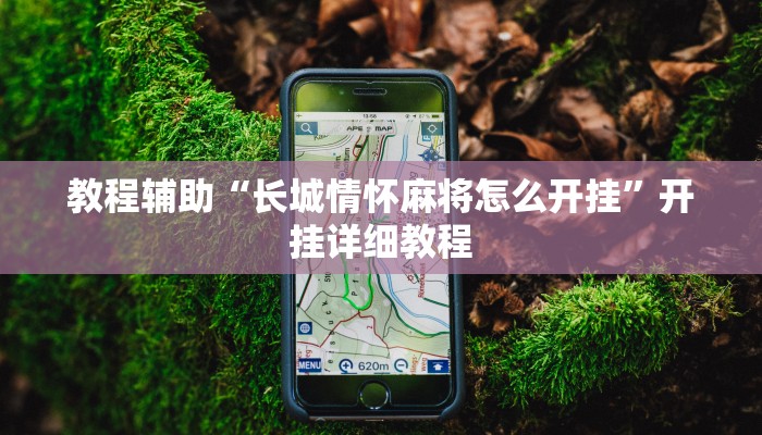 教程辅助“长城情怀麻将怎么开挂”开挂详细教程