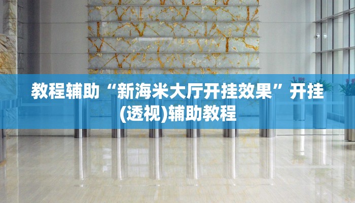 教程辅助“新海米大厅开挂效果”开挂(透视)辅助教程 教程辅助“新海米大厅开挂效果”开挂(透视)辅助教程
