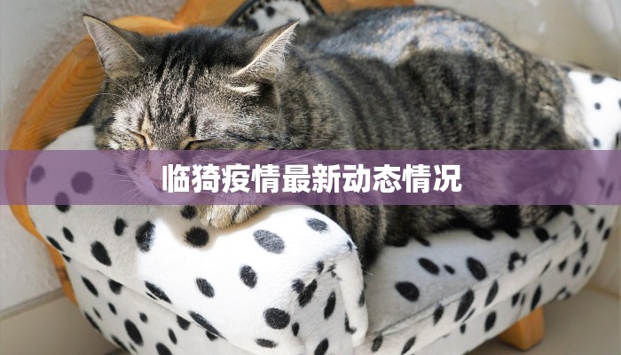 辅助神器“aapoker平台真的有挂么”开挂(透视)辅助教程 辅助神器“aapoker平台真的有挂么”开挂(透视)辅助教程