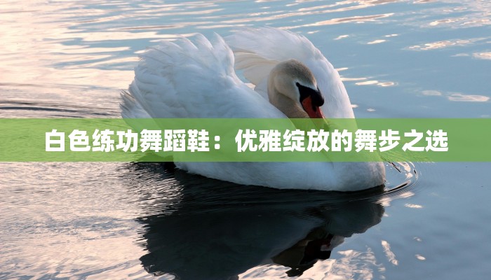 教程分享“口袋广丰棋牌可以作弊吗”2026透视开挂 教程分享“口袋广丰棋牌可以作弊吗”2026透视开挂