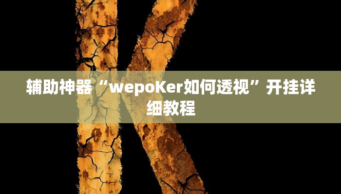辅助神器“wepoKer如何透视”开挂详细教程 辅助神器“wepoKer如何透视”开挂详细教程