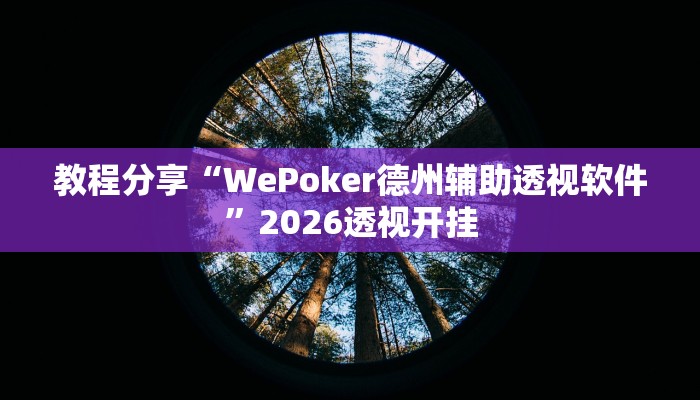 教程分享“WePoker德州辅助透视软件”2026透视开挂 教程分享“WePoker德州辅助透视软件”2026透视开挂