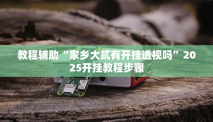 教程辅助“家乡大贰有开挂透视吗”2025开挂教程步骤 教程辅助“家乡大贰有开挂透视吗”2025开挂教程步骤