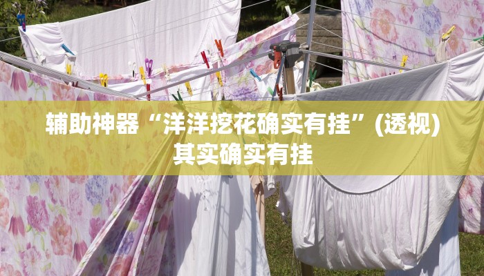 辅助神器“洋洋挖花确实有挂”(透视)其实确实有挂 辅助神器“洋洋挖花确实有挂”(透视)其实确实有挂