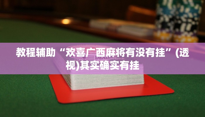 教程辅助“欢喜广西麻将有没有挂”(透视)其实确实有挂