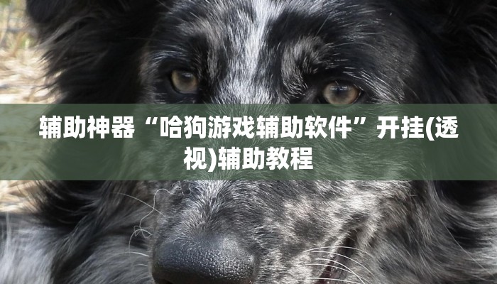 辅助神器“哈狗游戏辅助软件”开挂(透视)辅助教程 辅助神器“哈狗游戏辅助软件”开挂(透视)辅助教程