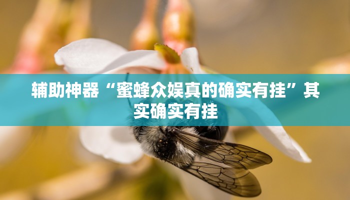 教程辅助“唐山西麻将可以开挂吗!其实确实有挂”开挂(透视)辅助教程 教程辅助“唐山西麻将可以开挂吗!其实确实有挂”开挂(透视)辅助教程