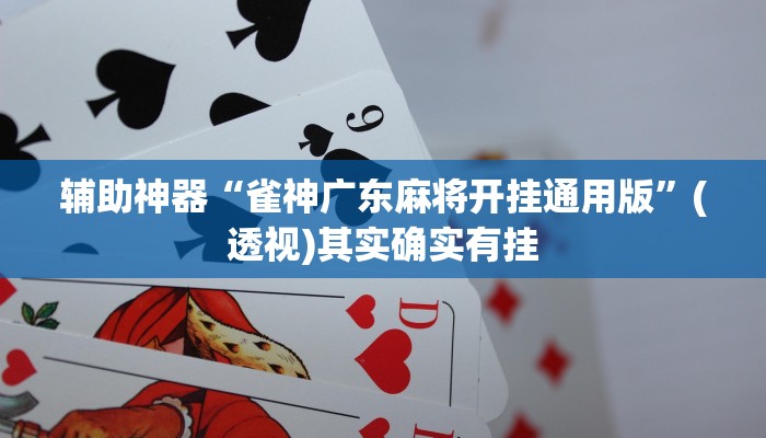 辅助神器“雀神广东麻将开挂通用版”(透视)其实确实有挂 辅助神器“雀神广东麻将开挂通用版”(透视)其实确实有挂