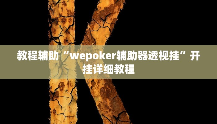教程辅助“wepoker辅助器透视挂”开挂详细教程