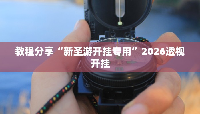 教程分享“新圣游开挂专用”2026透视开挂