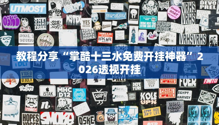 教程辅助“德扑之星辅助挂透视教程”开挂(透视)辅助教程 教程辅助“德扑之星辅助挂透视教程”开挂(透视)辅助教程