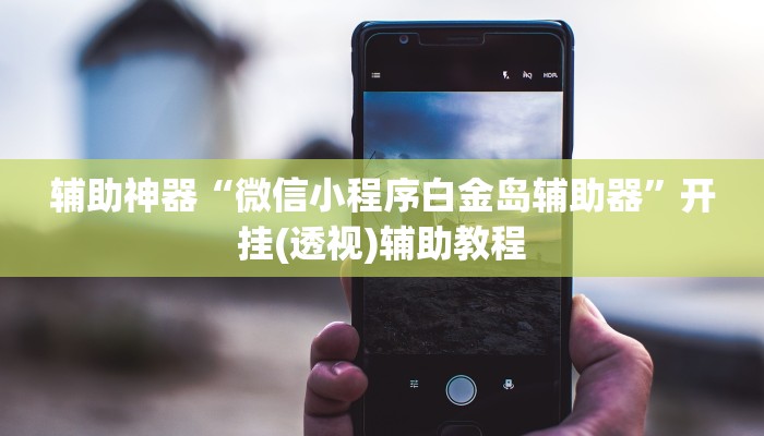 辅助神器“微信小程序白金岛辅助器”开挂(透视)辅助教程