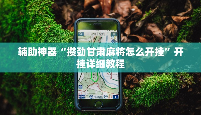 辅助神器“攒劲甘肃麻将怎么开挂”开挂详细教程