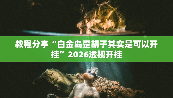 教程分享“白金岛歪胡子其实是可以开挂”2026透视开挂 教程分享“白金岛歪胡子其实是可以开挂”2026透视开挂