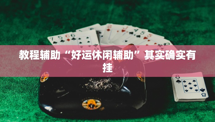 教程辅助“好运休闲辅助”其实确实有挂