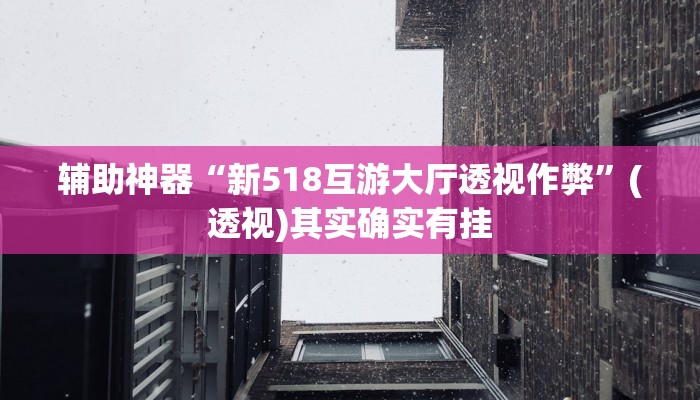 辅助神器“新518互游大厅透视作弊”(透视)其实确实有挂