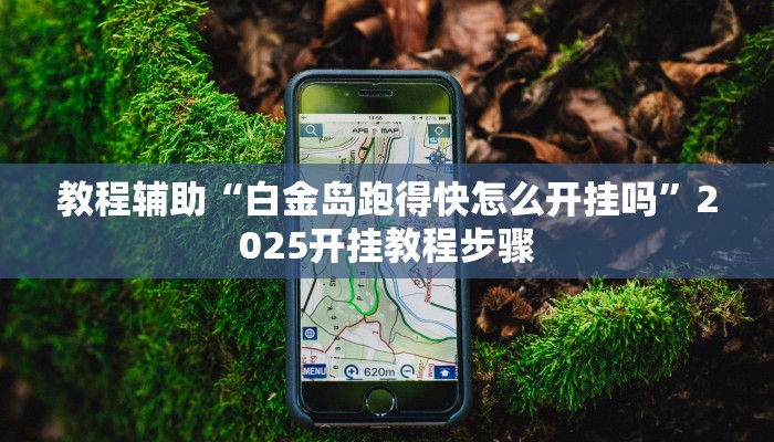 教程辅助“白金岛跑得快怎么开挂吗”2025开挂教程步骤