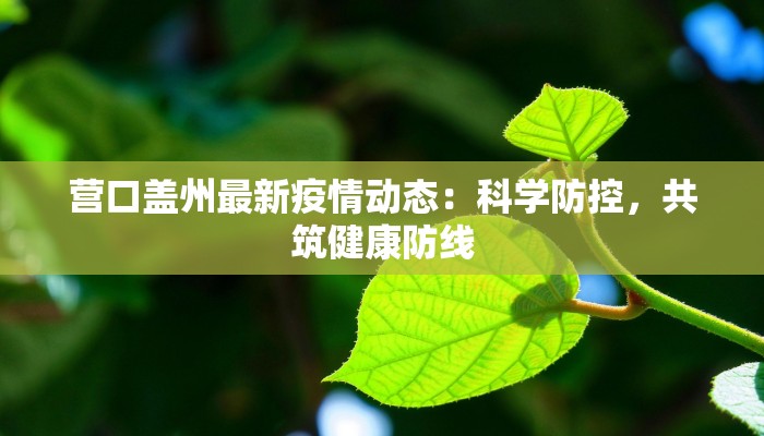 辅助神器“雀友汇有没有挂”开挂(透视)辅助教程 辅助神器“雀友汇有没有挂”开挂(透视)辅助教程
