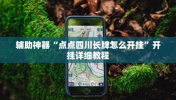 辅助神器“点点四川长牌怎么开挂”开挂详细教程