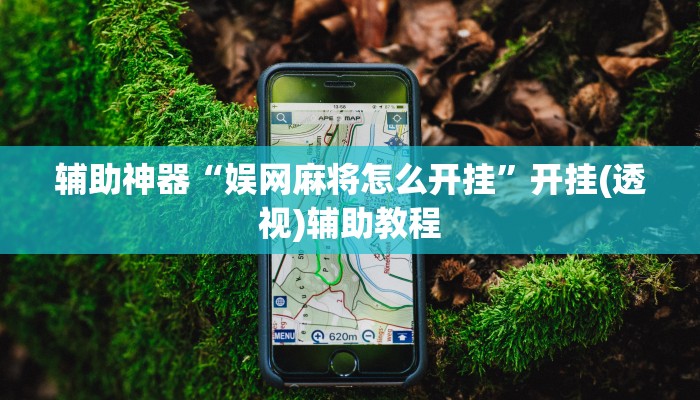 辅助神器“娱网麻将怎么开挂”开挂(透视)辅助教程 辅助神器“娱网麻将怎么开挂”开挂(透视)辅助教程