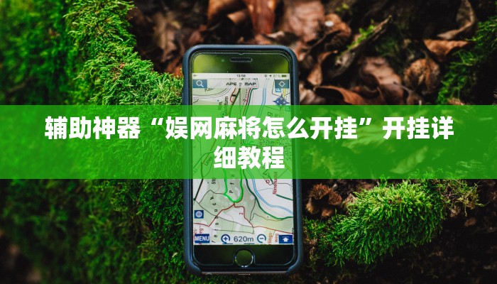 辅助神器“娱网麻将怎么开挂”开挂详细教程 辅助神器“娱网麻将怎么开挂”开挂详细教程