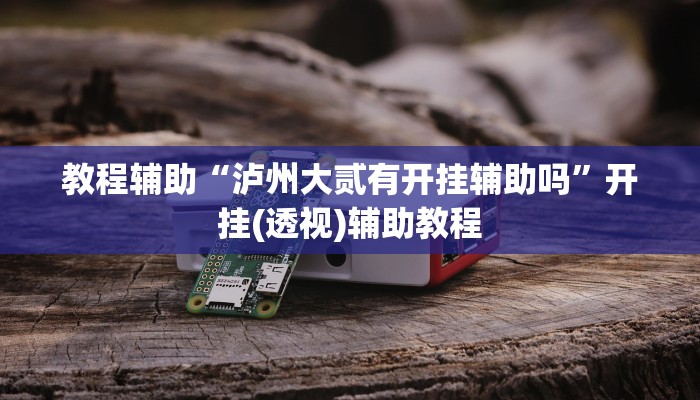 教程辅助“泸州大贰有开挂辅助吗”开挂(透视)辅助教程