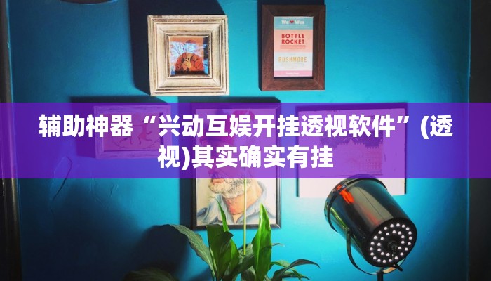 辅助神器“兴动互娱开挂透视软件”(透视)其实确实有挂