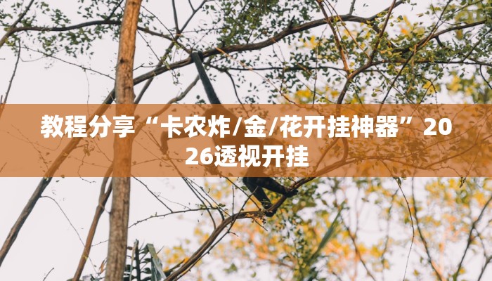 教程分享“卡农炸/金/花开挂神器”2026透视开挂 教程分享“卡农炸/金/花开挂神器”2026透视开挂