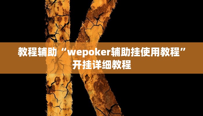 教程辅助“wepoker辅助挂使用教程”开挂详细教程