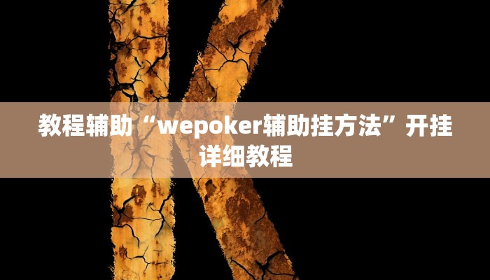 教程辅助“wepoker辅助挂方法”开挂详细教程