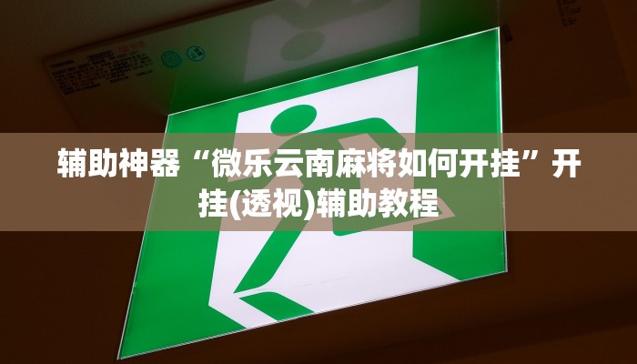 辅助神器“微乐云南麻将如何开挂”开挂(透视)辅助教程 辅助神器“微乐云南麻将如何开挂”开挂(透视)辅助教程