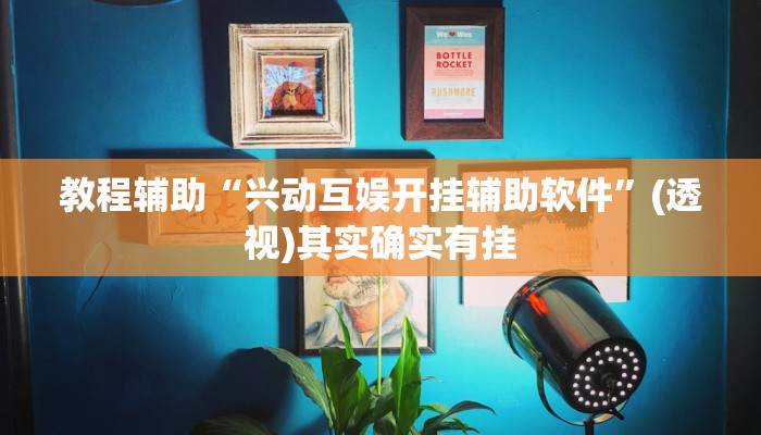 教程辅助“兴动互娱开挂辅助软件”(透视)其实确实有挂 教程辅助“兴动互娱开挂辅助软件”(透视)其实确实有挂