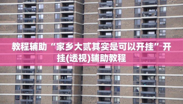 教程辅助“家乡大贰其实是可以开挂”开挂(透视)辅助教程 教程辅助“家乡大贰其实是可以开挂”开挂(透视)辅助教程