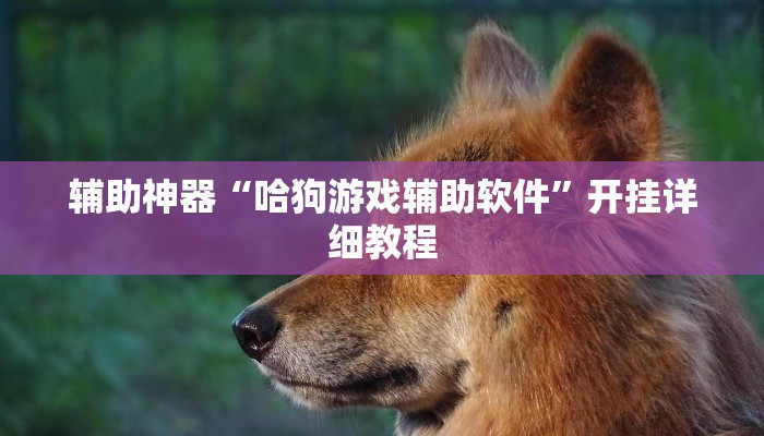 辅助神器“哈狗游戏辅助软件”开挂详细教程 辅助神器“哈狗游戏辅助软件”开挂详细教程