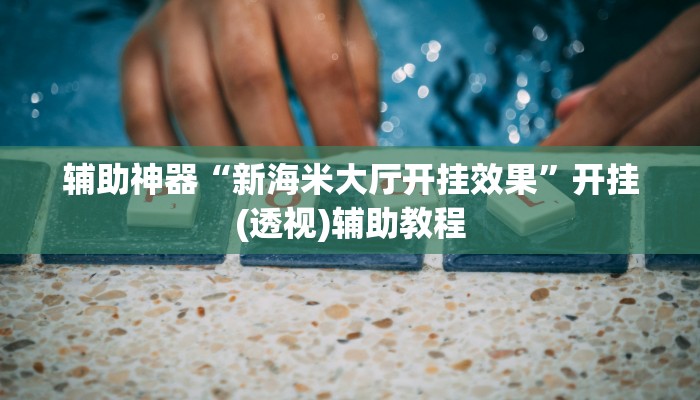 辅助神器“新海米大厅开挂效果”开挂(透视)辅助教程