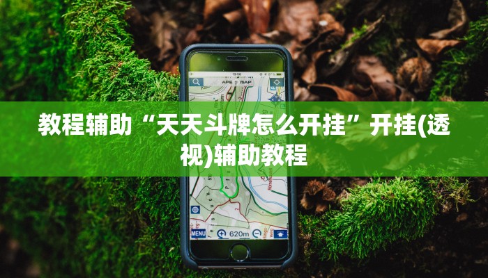 教程辅助“天天斗牌怎么开挂”开挂(透视)辅助教程