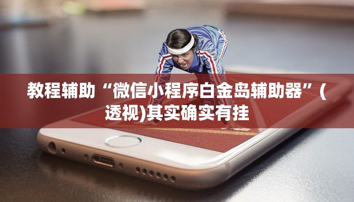 教程辅助“微信小程序白金岛辅助器”(透视)其实确实有挂 教程辅助“微信小程序白金岛辅助器”(透视)其实确实有挂