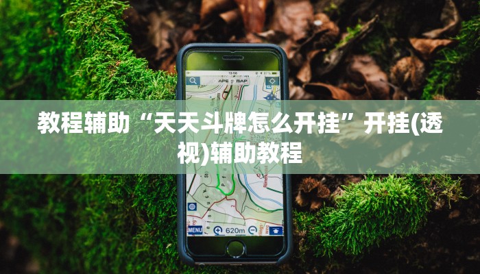 教程辅助“天天斗牌怎么开挂”开挂(透视)辅助教程