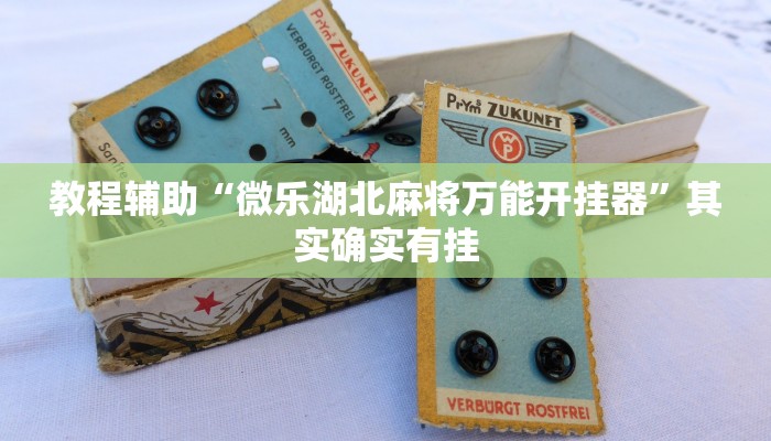 教程辅助“微乐湖北麻将万能开挂器”其实确实有挂 教程辅助“微乐湖北麻将万能开挂器”其实确实有挂