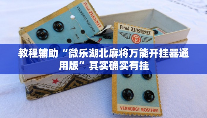 教程辅助“微乐湖北麻将万能开挂器通用版”其实确实有挂 教程辅助“微乐湖北麻将万能开挂器通用版”其实确实有挂