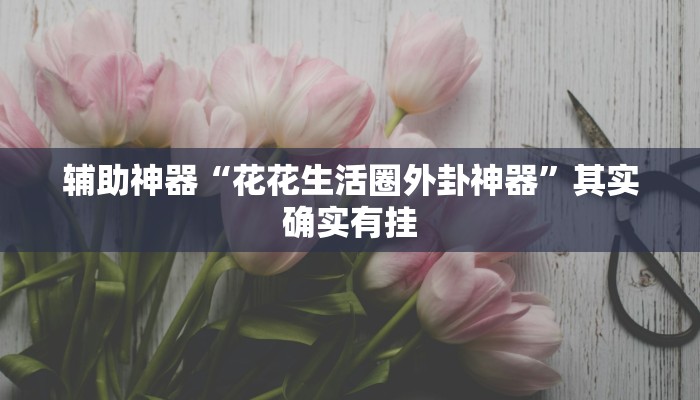 辅助神器“花花生活圈外卦神器”其实确实有挂