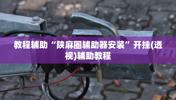 教程辅助“陕麻圈辅助器安装”开挂(透视)辅助教程 教程辅助“陕麻圈辅助器安装”开挂(透视)辅助教程