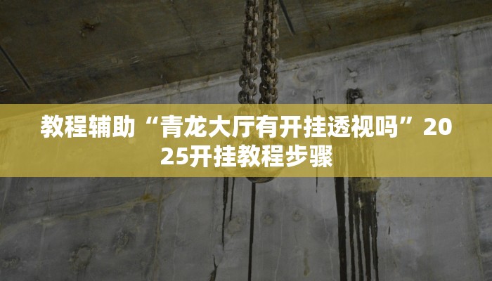 教程辅助“青龙大厅有开挂透视吗”2025开挂教程步骤