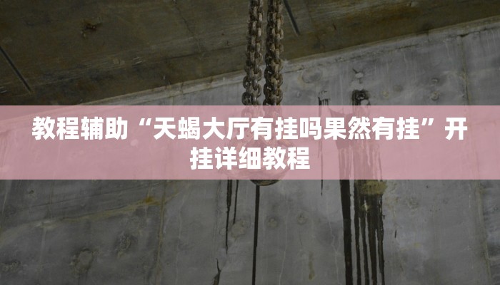 教程辅助“天蝎大厅有挂吗果然有挂”开挂详细教程