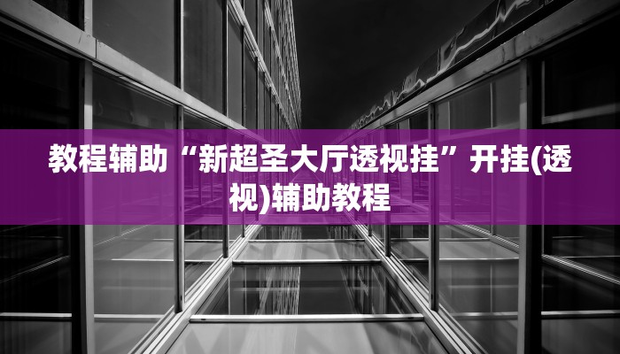 教程辅助“新超圣大厅透视挂”开挂(透视)辅助教程 教程辅助“新超圣大厅透视挂”开挂(透视)辅助教程