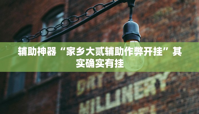 辅助神器“家乡大贰辅助作弊开挂”其实确实有挂 辅助神器“家乡大贰辅助作弊开挂”其实确实有挂
